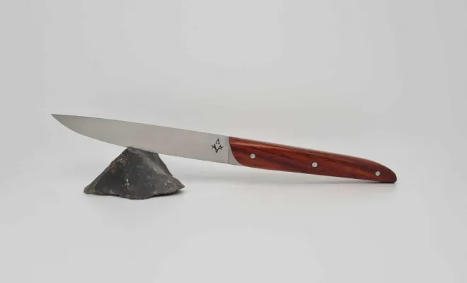 Manche en cocobolo